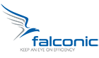 Model sterujący falconic